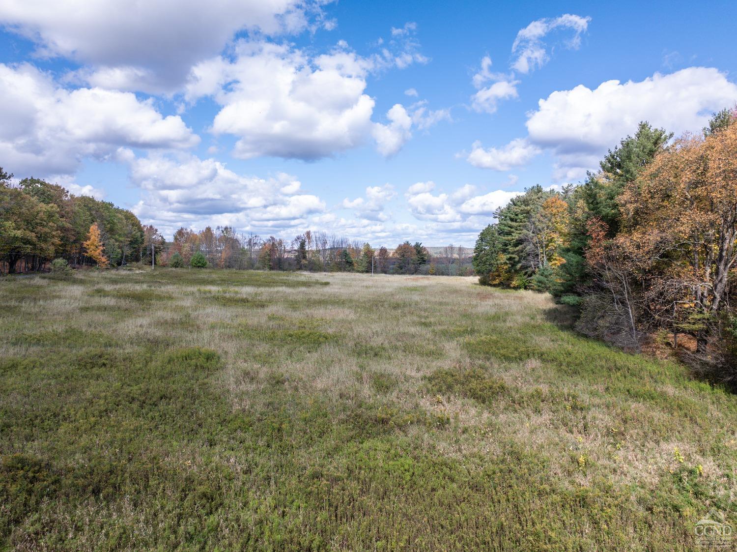 Elk Creek Road, East Meredith, New York image 7