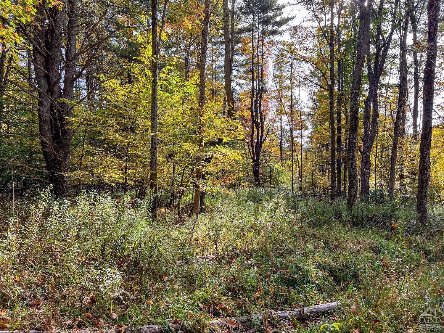 Elk Creek Road, East Meredith, New York image 19