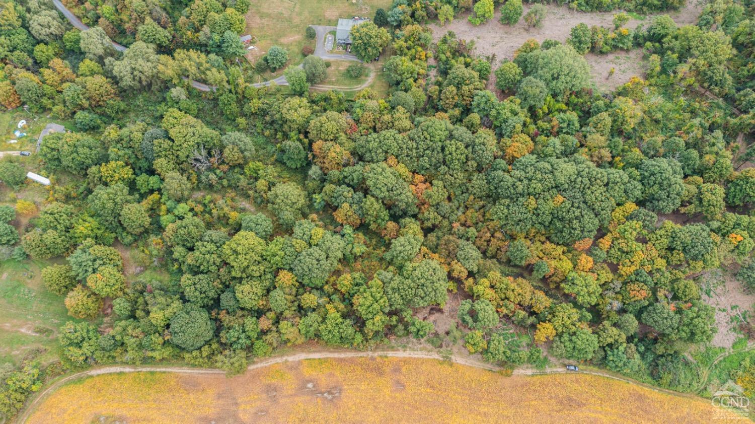 County Route 6, Germantown, New York image 6