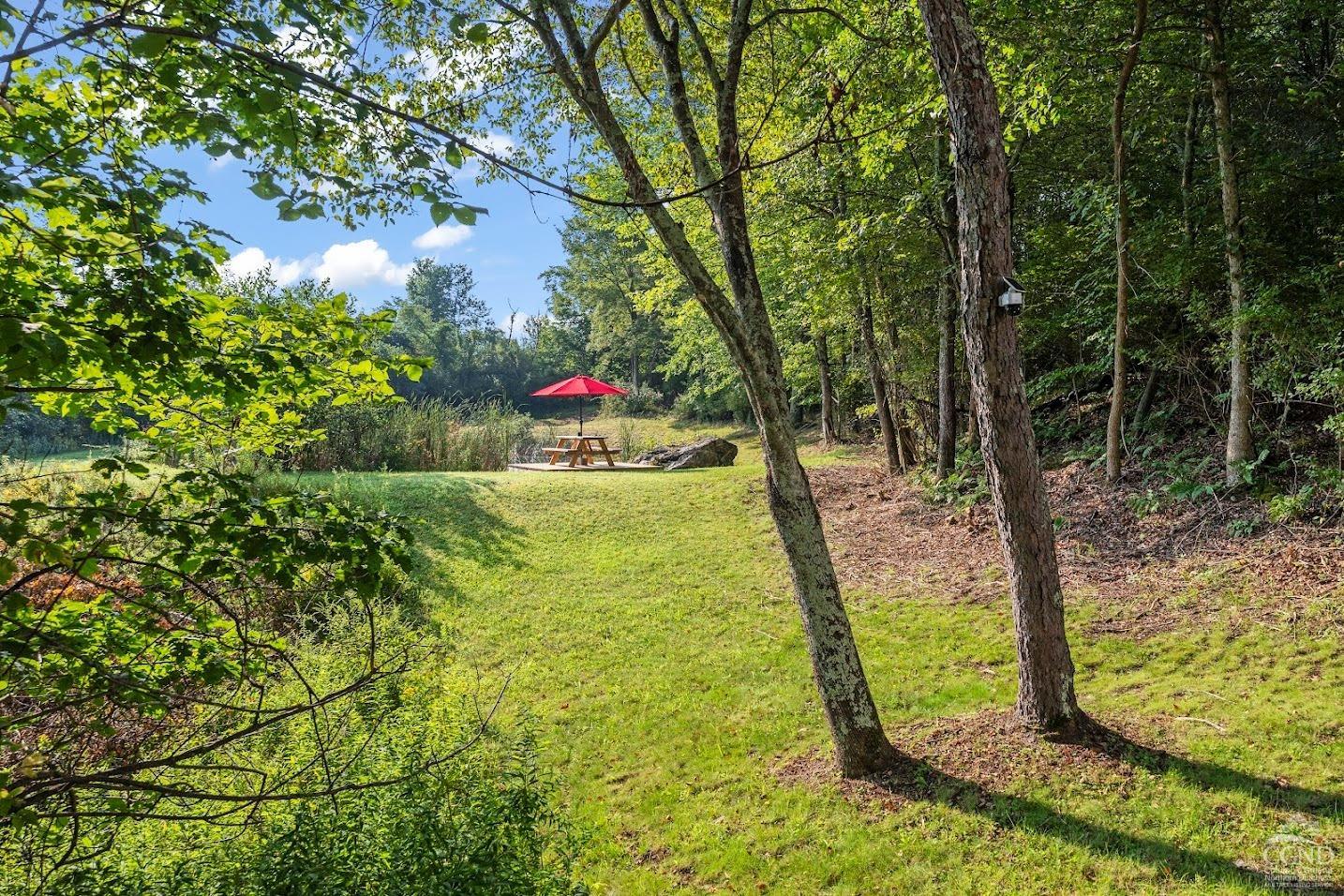 7 Birch Hill Road, Copake, New York image 28