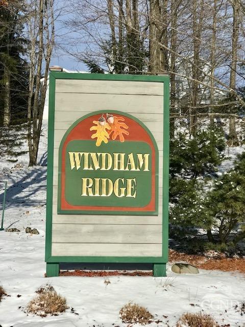 73 Windham Ridge Road #16-H, Windham, New York image 41
