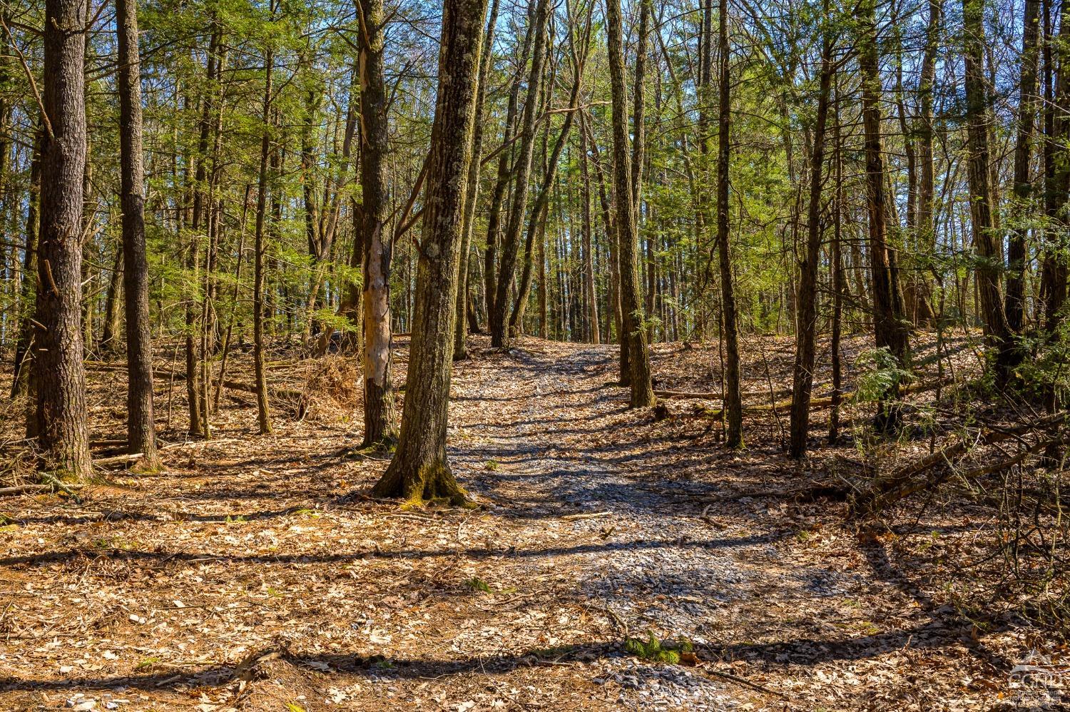 Rt 212 & Cottontail Rd, Saugerties, New York image 8