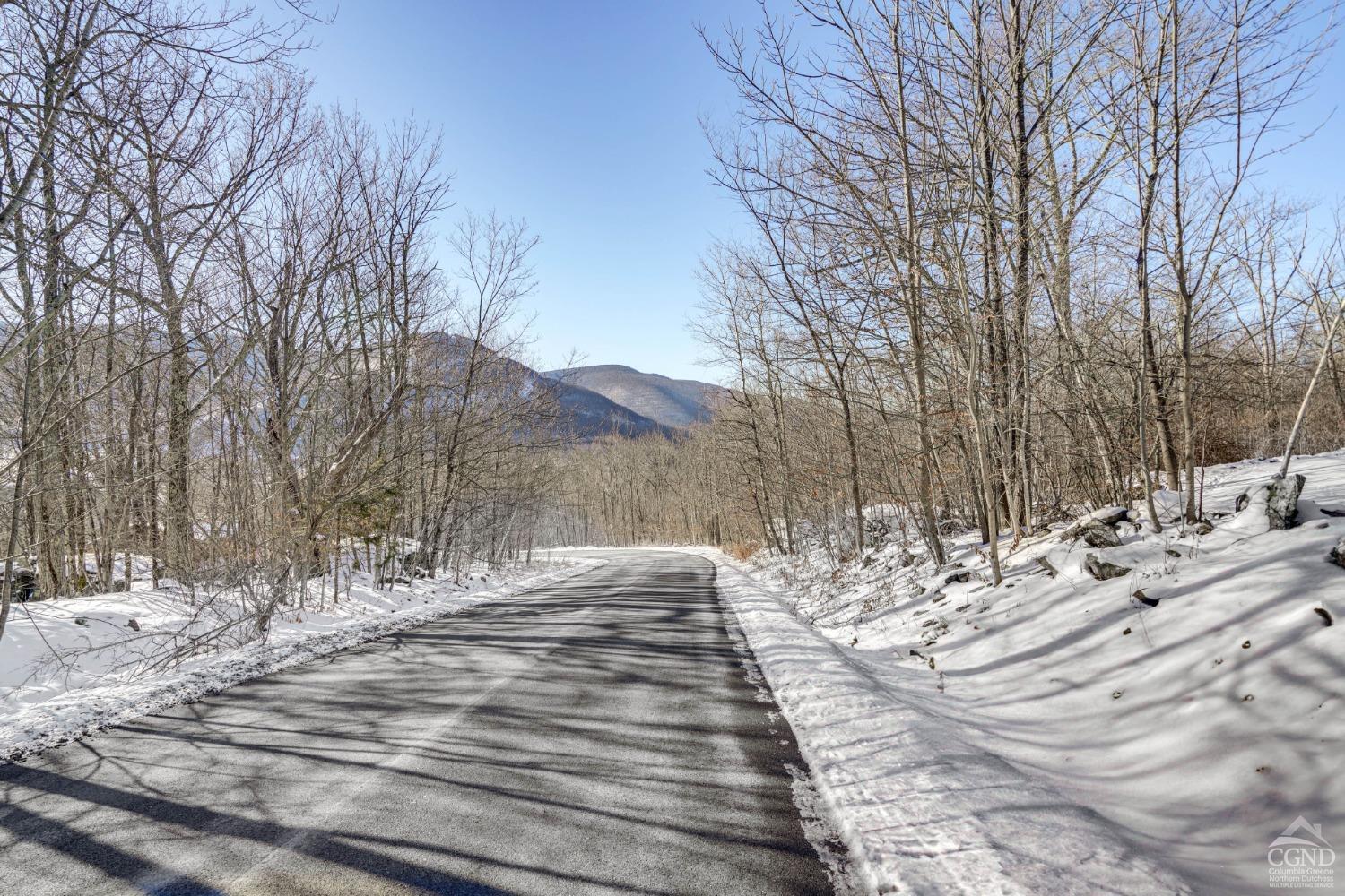 220 Botti Drive, Hunter, New York image 30