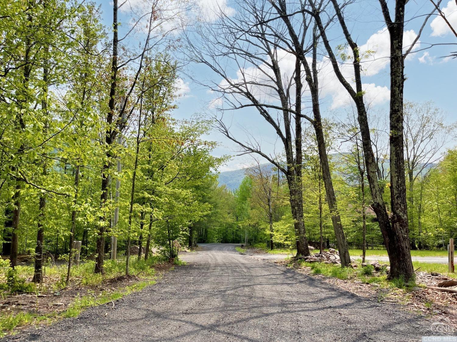 Camp Schohairie Road, Hunter, New York image 3