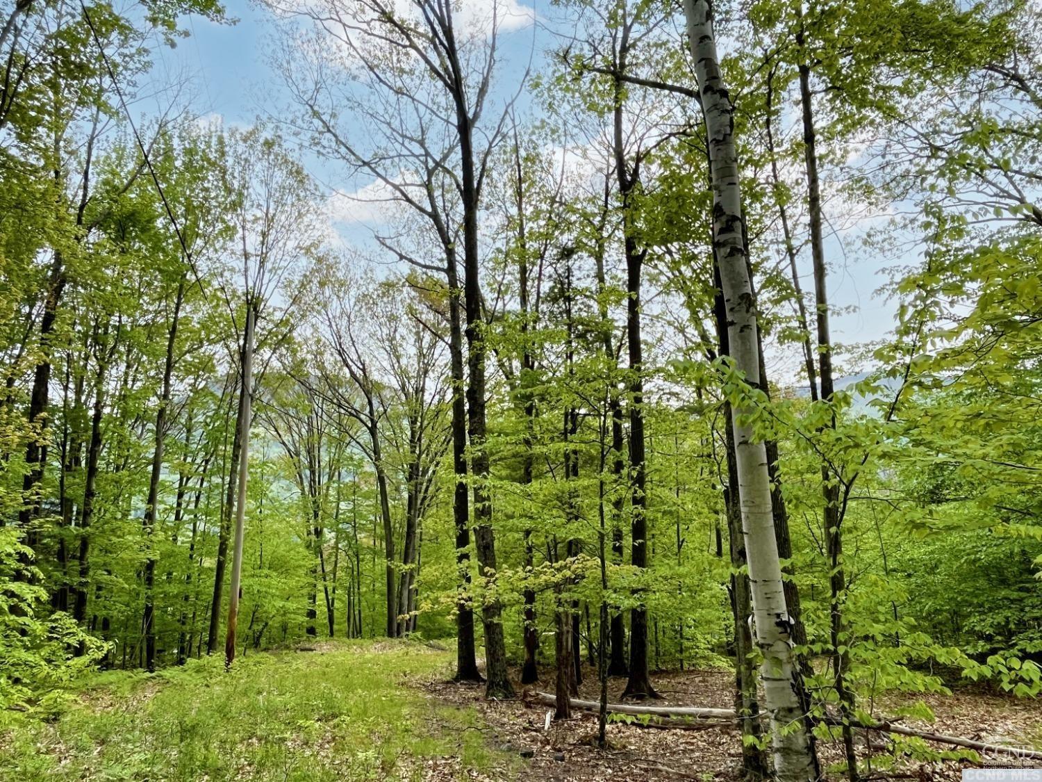 Camp Schohairie Road, Hunter, New York image 2