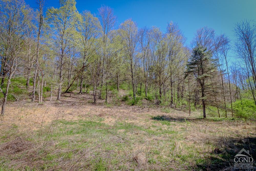 292 County Rt 27b, Hollowville, Texas image 8