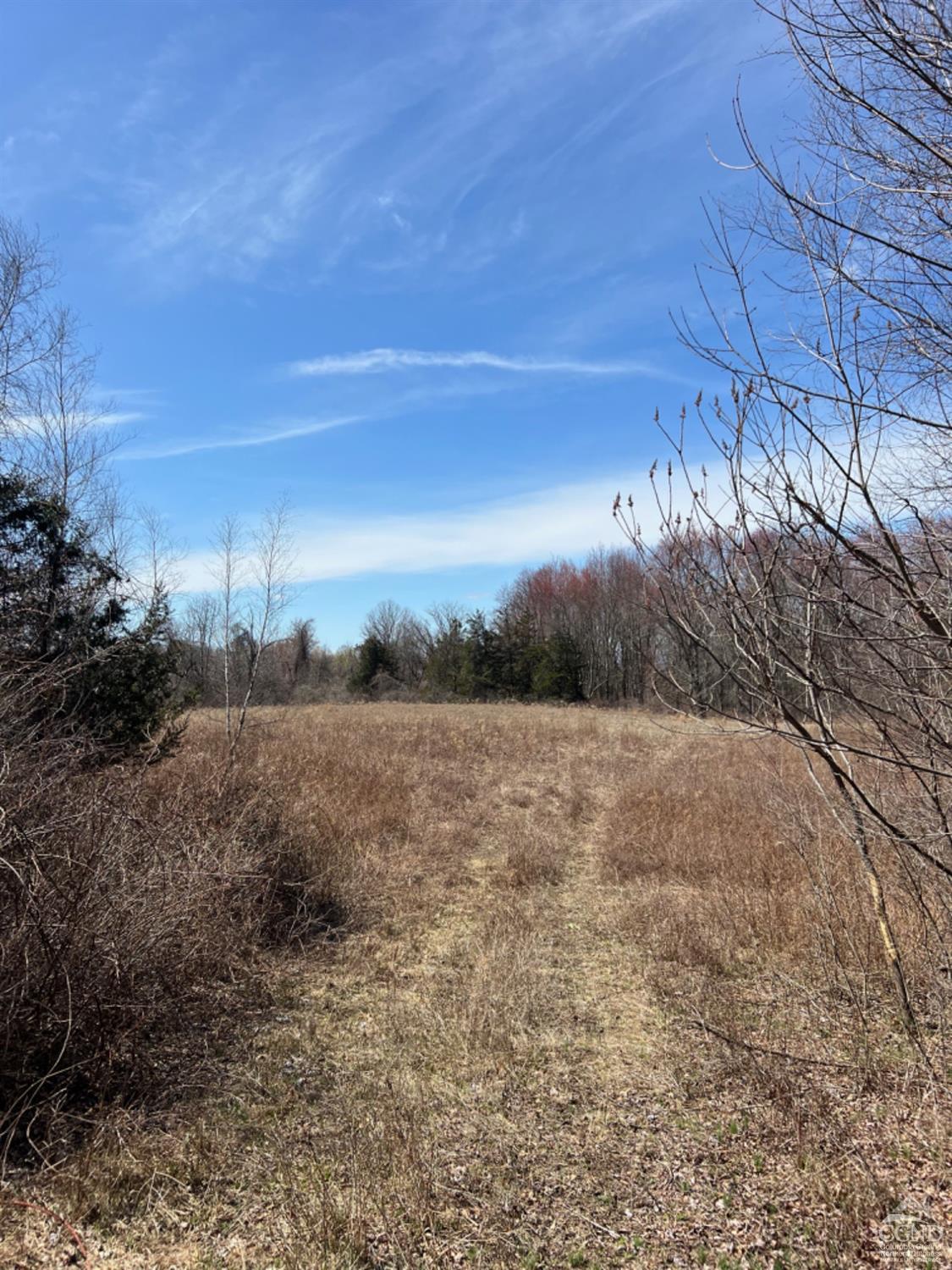 NW Church Road, Livingston, New York image 12
