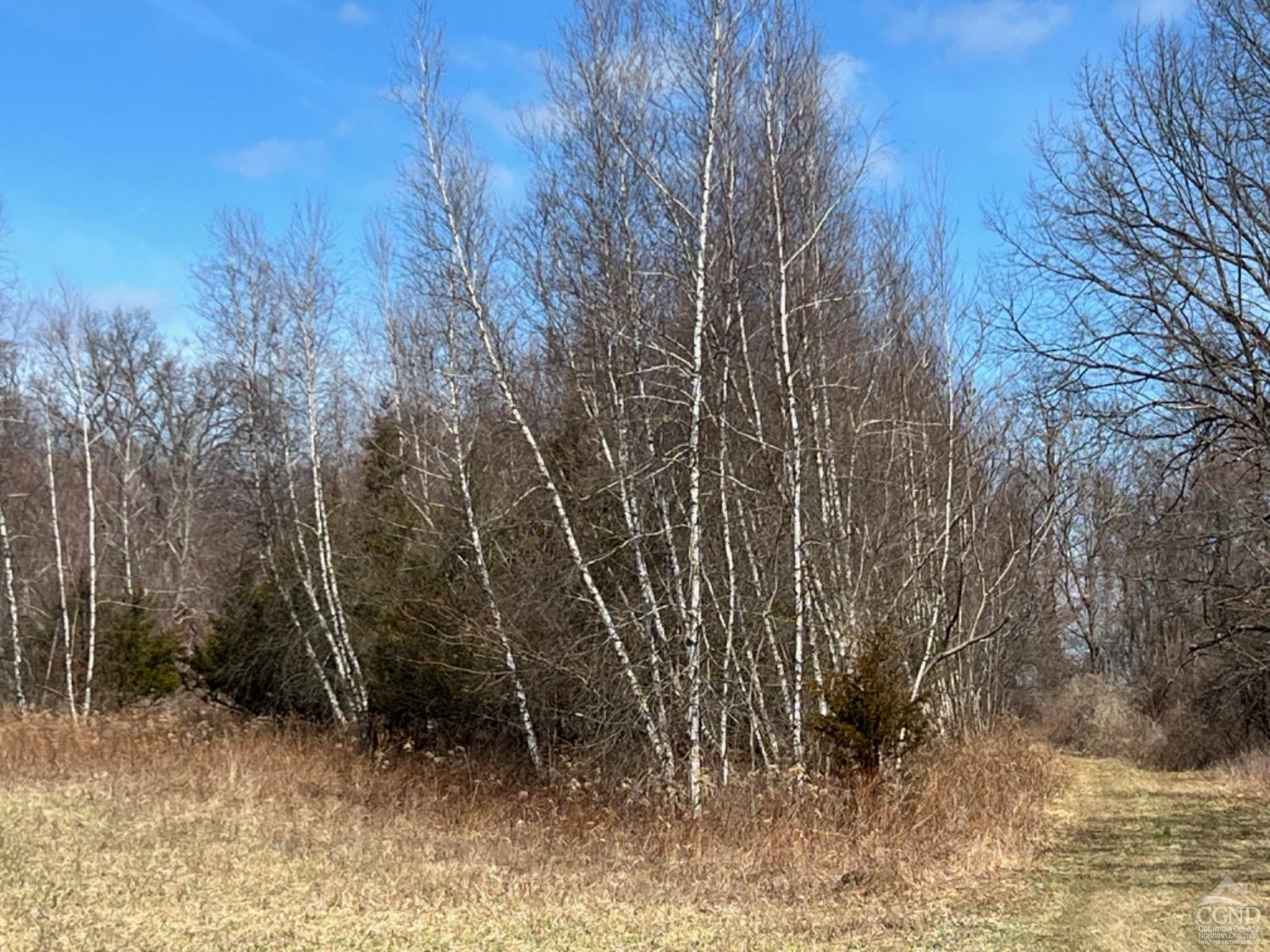 NW Church Road, Livingston, New York image 13
