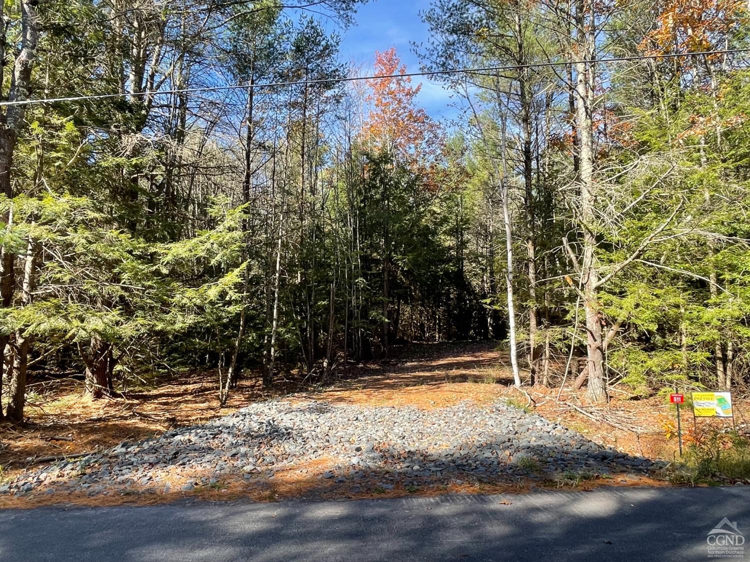 511 Campbell Road #LOT 3, Ashland, New York image 1