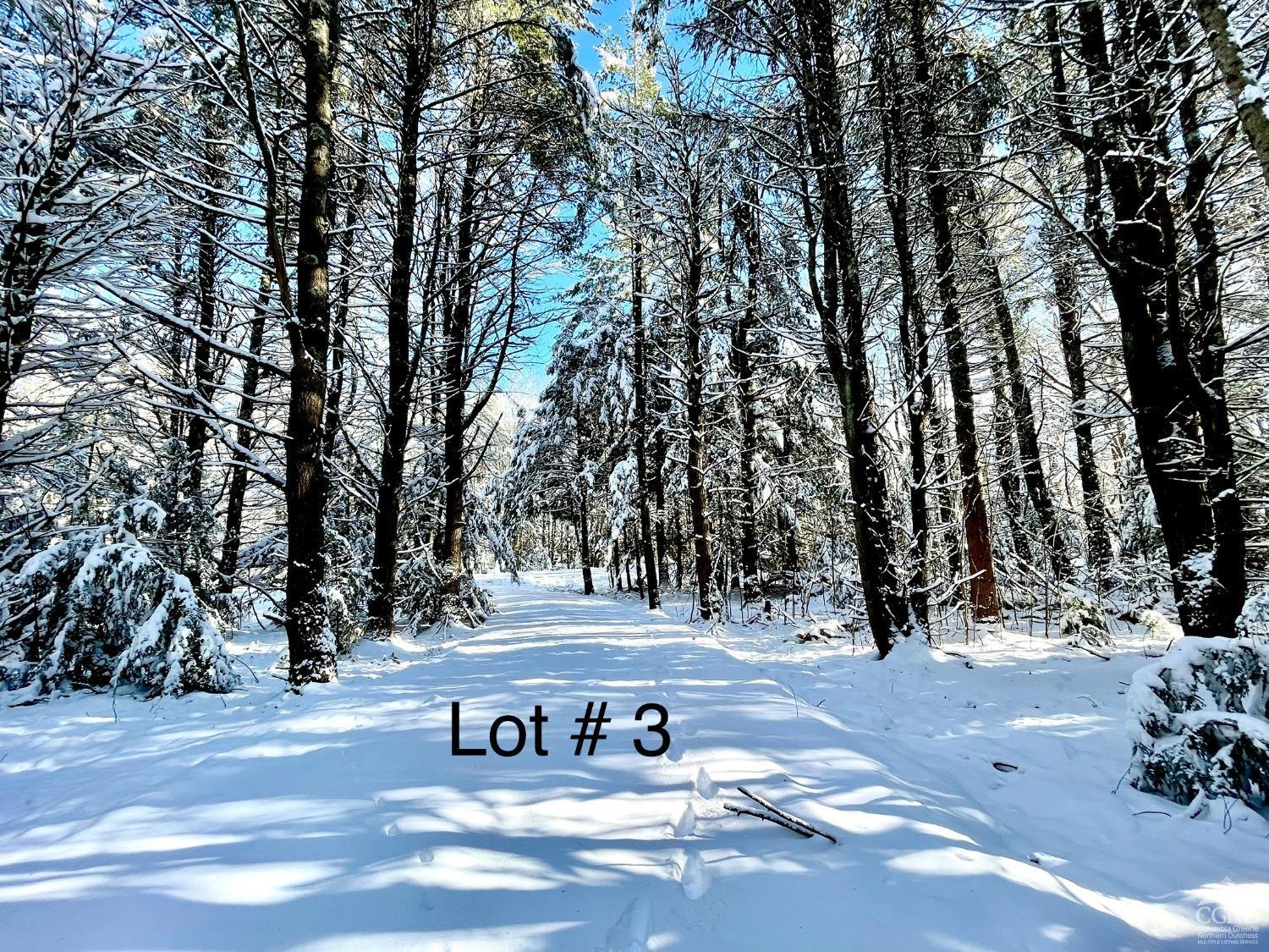 511 Campbell Road #LOT 3, Ashland, New York image 11