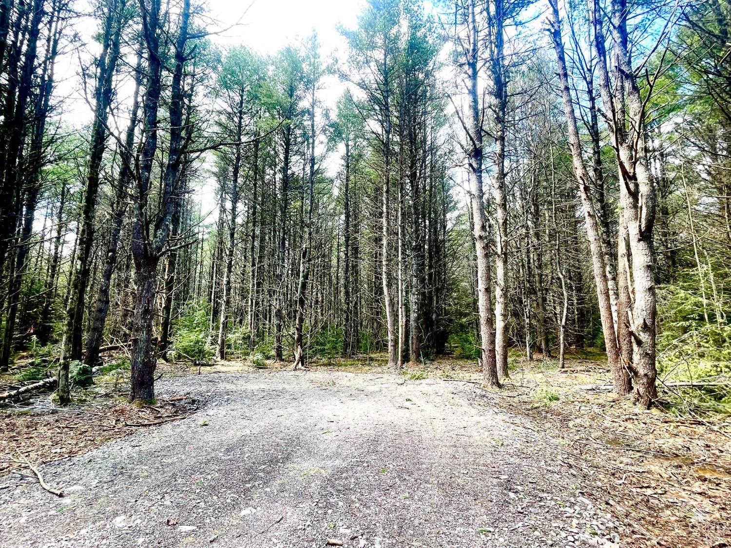 511 Campbell Road #LOT 3, Ashland, New York image 4