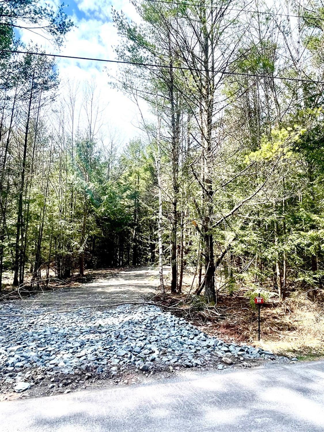 511 Campbell Road #LOT 3, Ashland, New York image 3