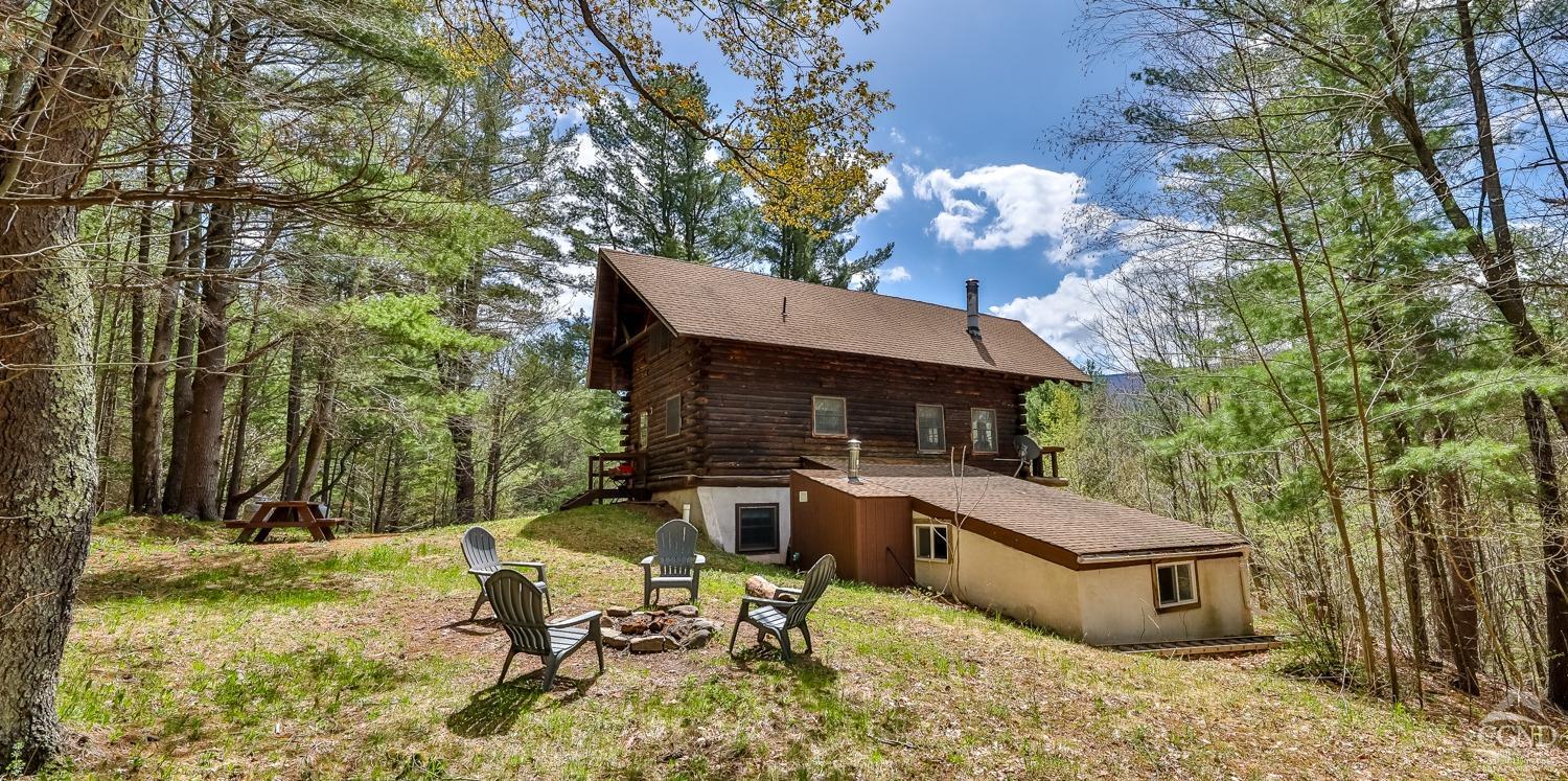 203 Overlook Drive Dr, Jewett, New York image 1
