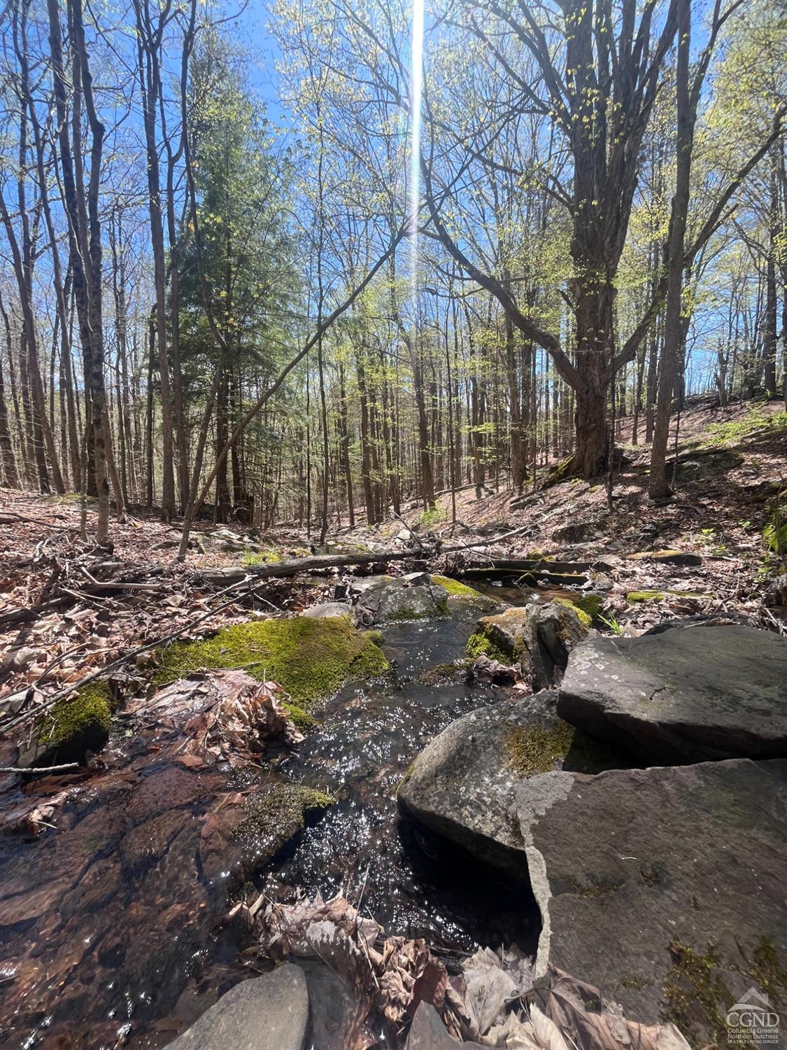 203 Overlook Drive Dr, Jewett, New York image 39