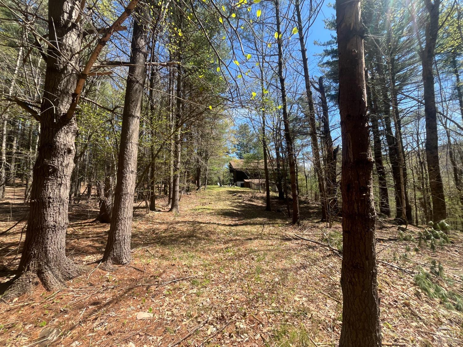 203 Overlook Drive Dr, Jewett, New York image 41