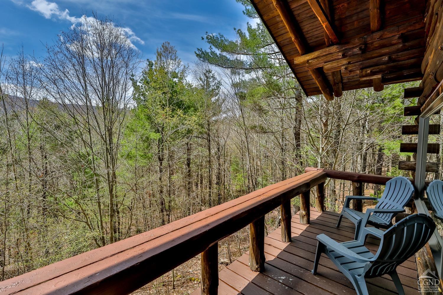 203 Overlook Drive Dr, Jewett, New York image 4