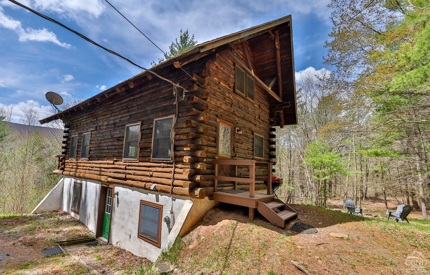 203 Overlook Drive Dr, Jewett, New York image 2