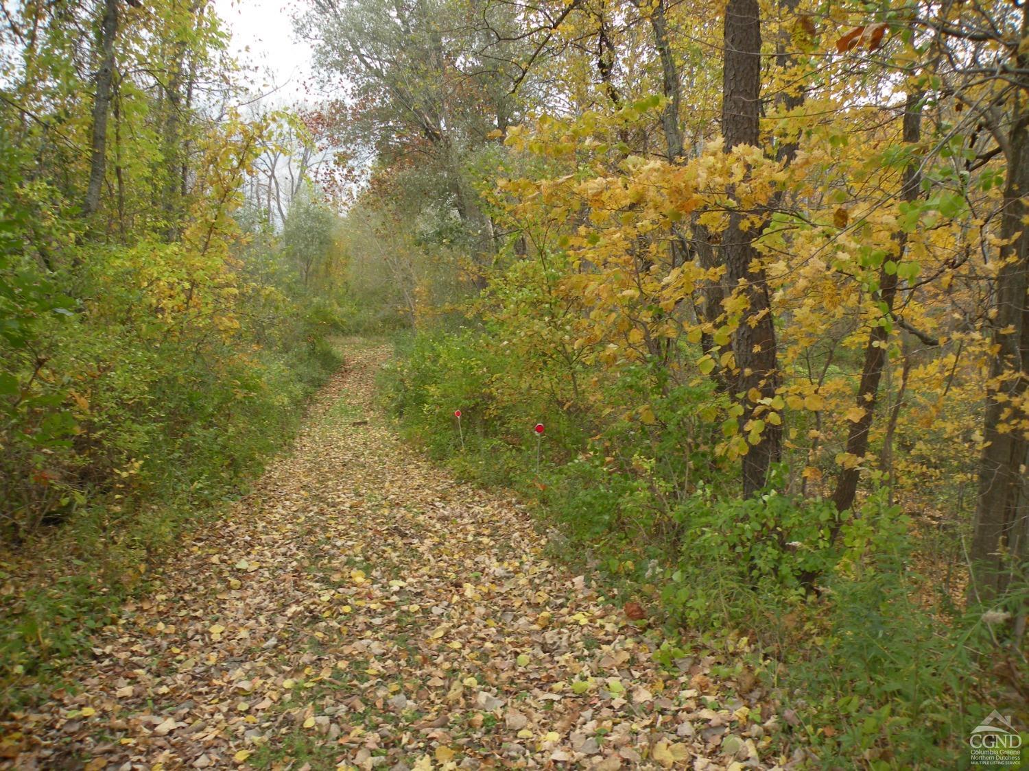 Boston Corners Road, Ancram, New York image 5