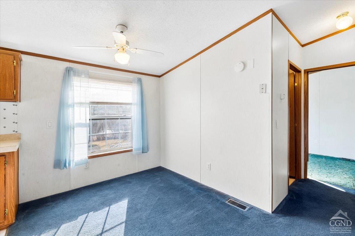 30 S Lake Side Drive, Catskill, New York image 10