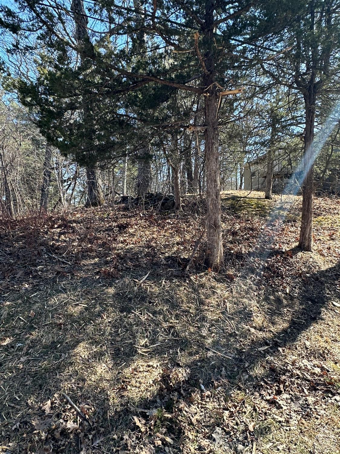 Leeds-athens Road, Athens, New York image 12