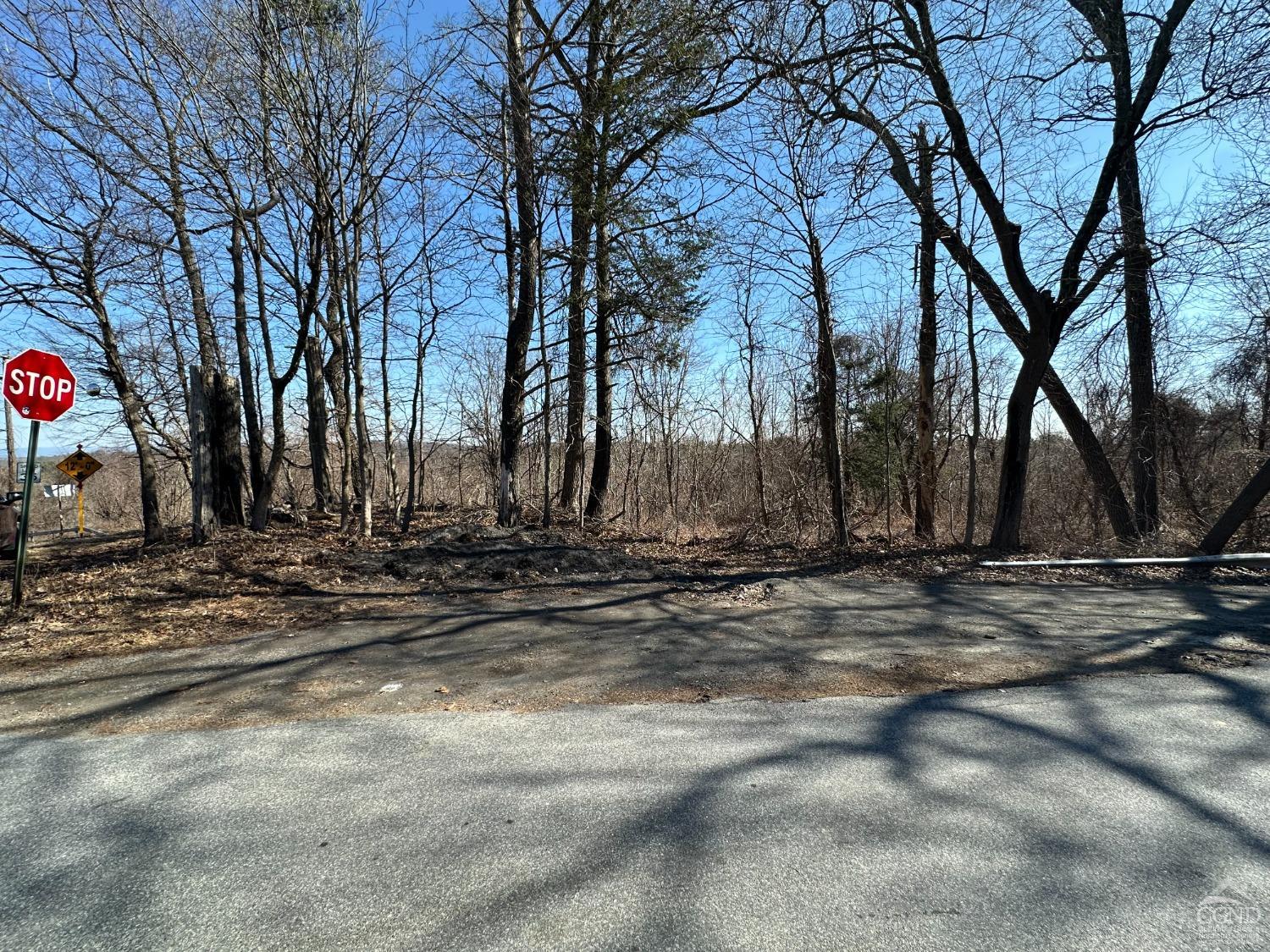 Leeds-athens Road, Athens, New York image 18