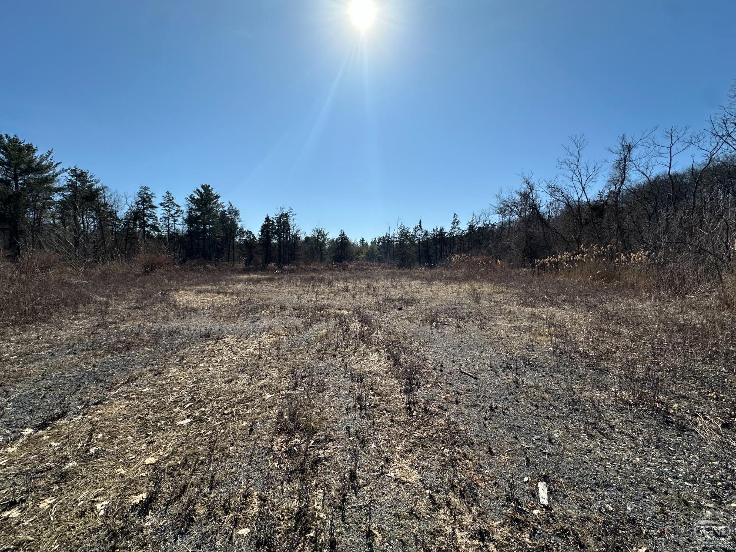 Leeds-athens Road, Athens, New York image 10