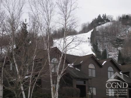 64 Liftside Drive #E-5, Hunter, New York image 3
