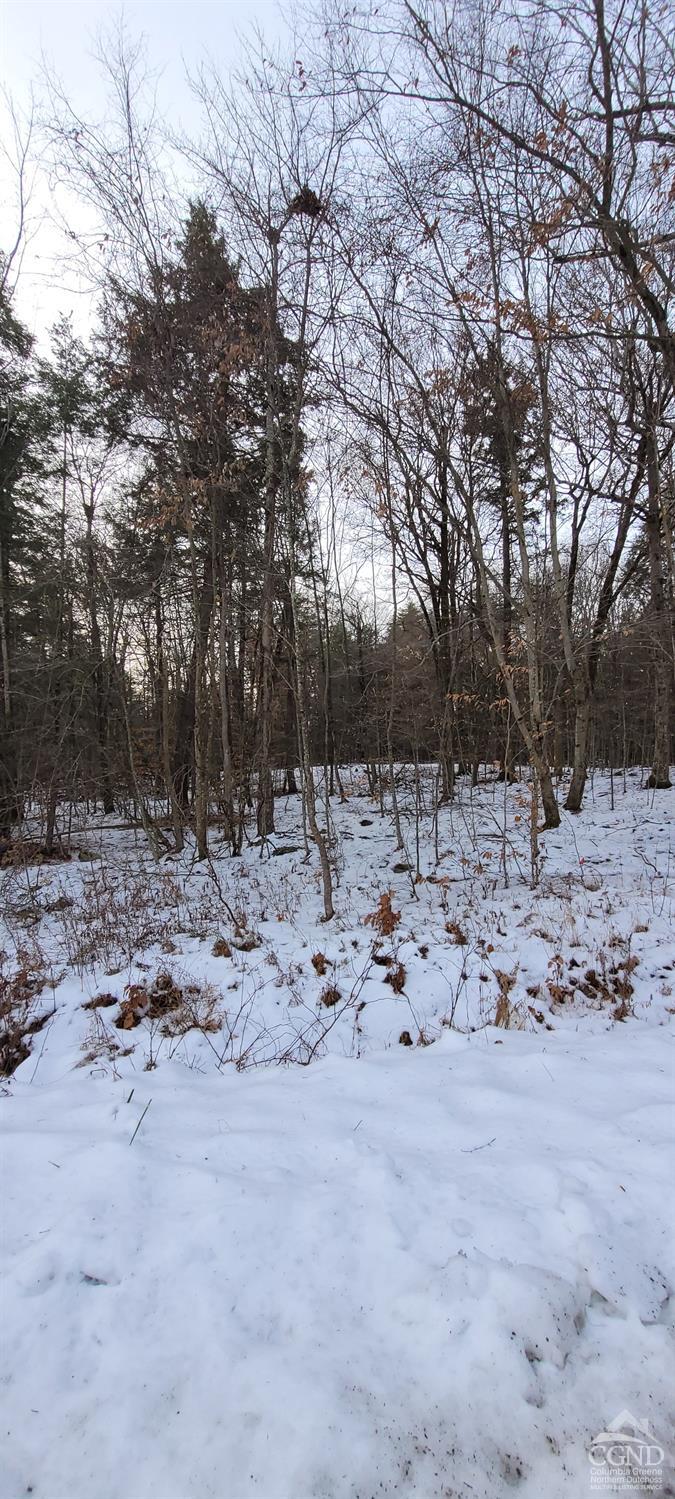 18 High Acres Lane (rd), Greenville, New York image 6