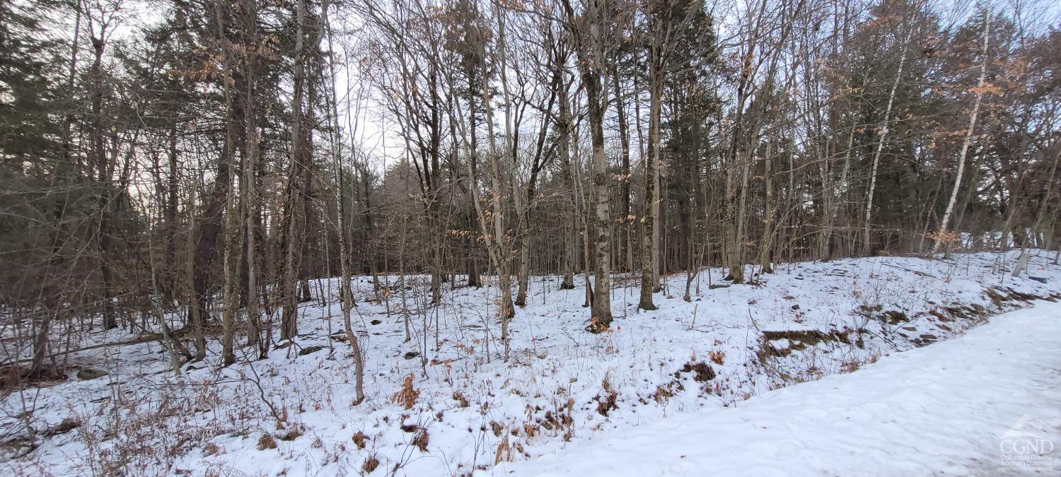 18 High Acres Lane (rd), Greenville, New York image 4