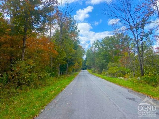 Mill Street #13.2, Windham, New York image 18