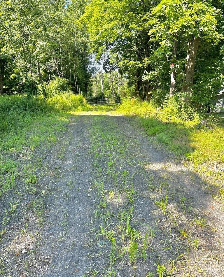 0 Lot 1 Morey Park Rd, Nassau, New York image 1