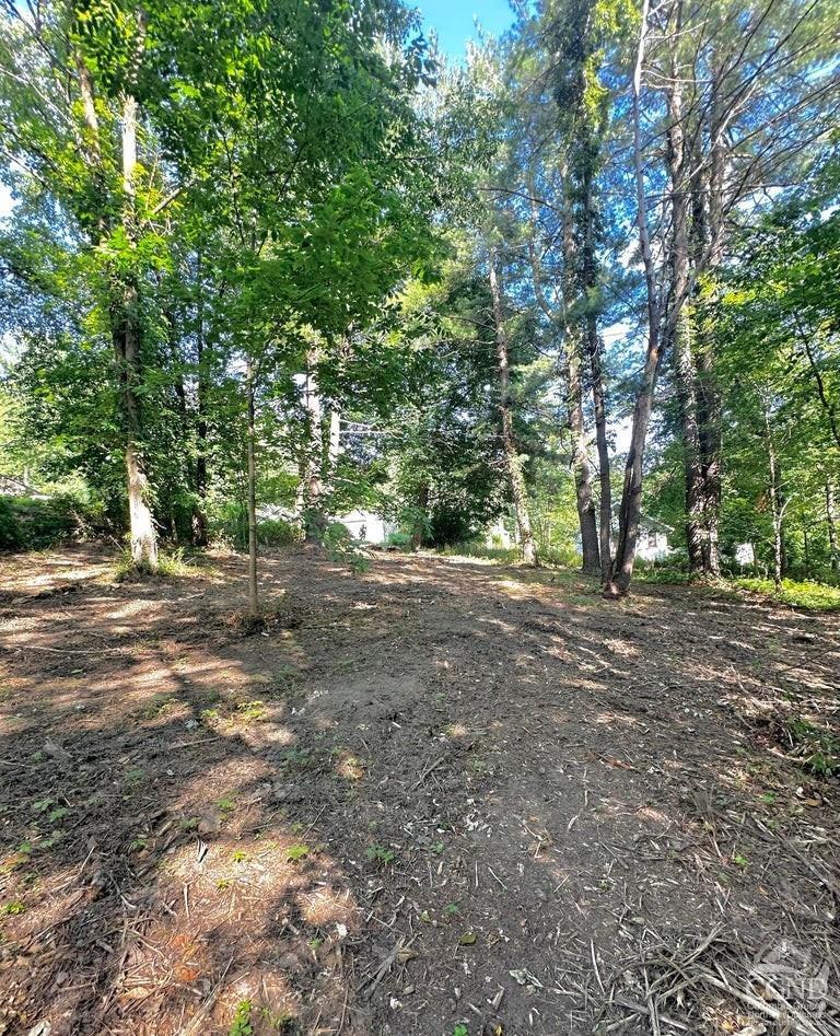 0 Lot 2 Morey Park Hill Rd, Nassau, New York image 4