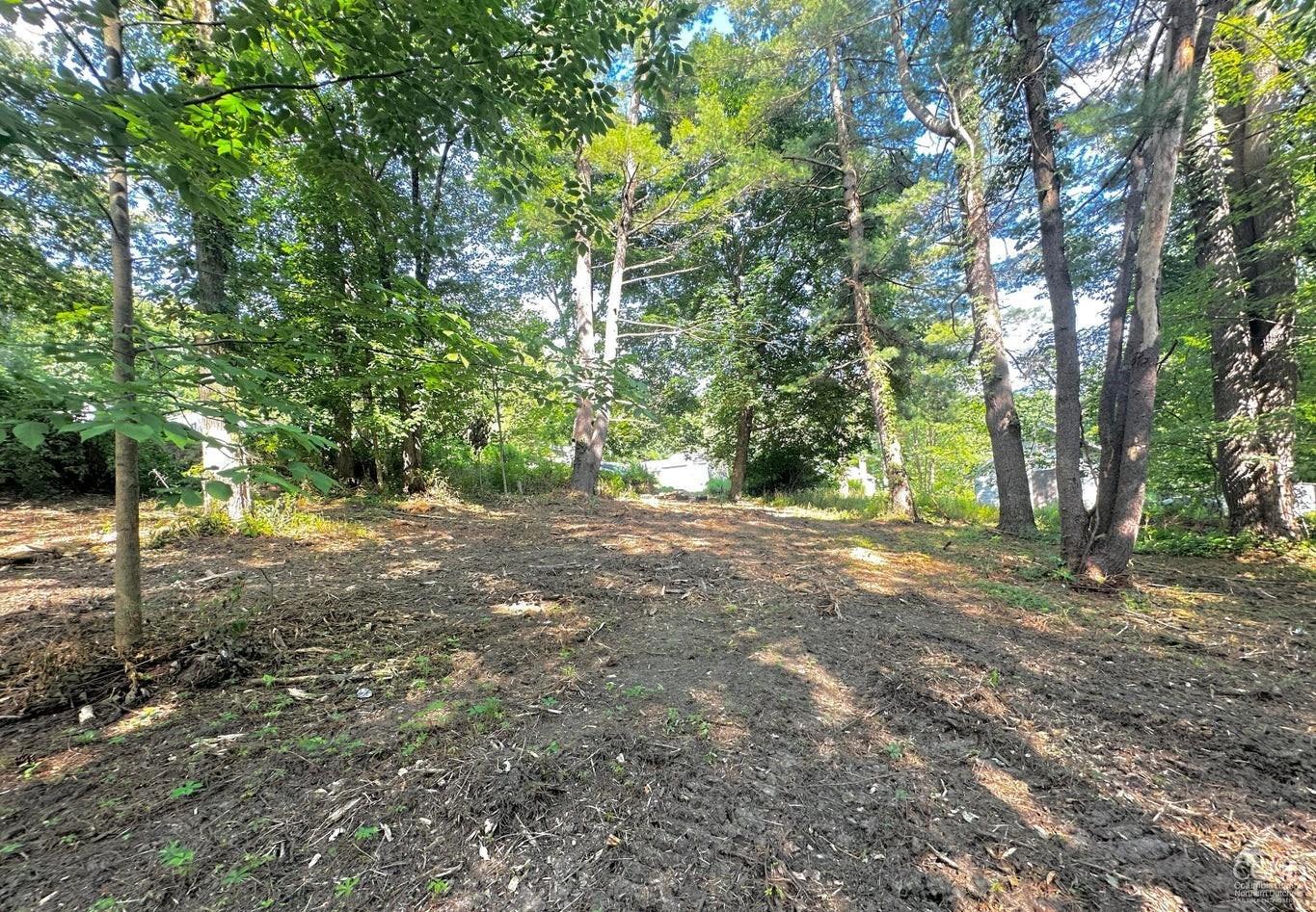 0 Lot 2 Morey Park Hill Rd, Nassau, New York image 8