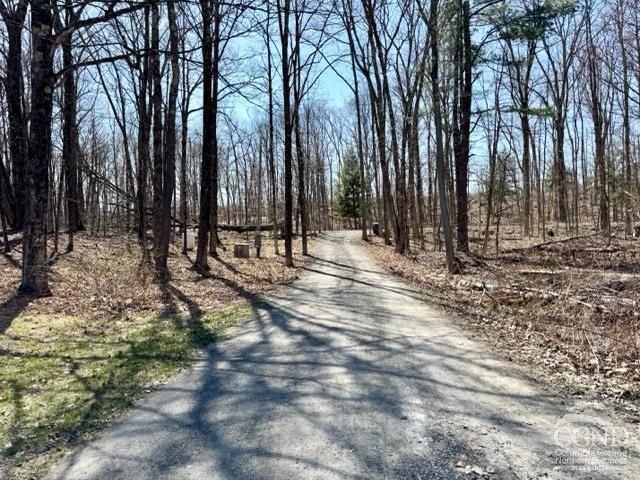 119 Kropp Road, Westerlo, New York image 27