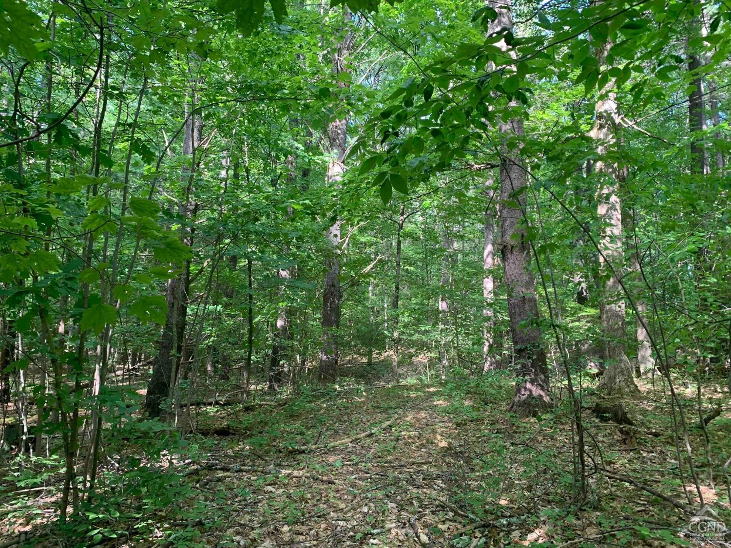 Eagle Nest Road, Coxsackie, New York image 19