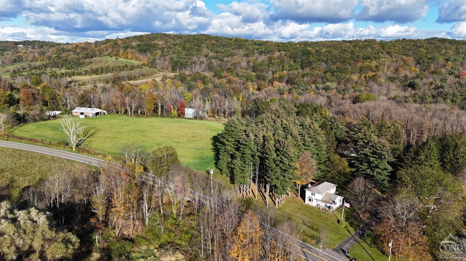Property for Sale at 174 County Route 11, Gallatin, New York - Bedrooms: 4 
Bathrooms: 3 
Rooms: 9  - $1,450,000