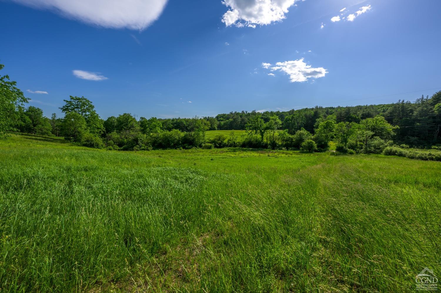 Cotter Road, Chatham, New York image 6