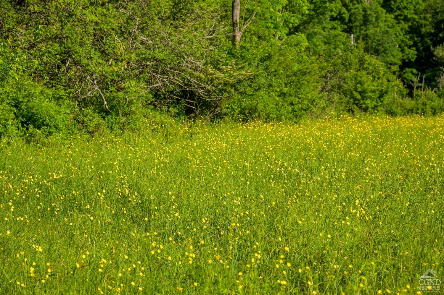 Cotter Road, Chatham, New York image 5