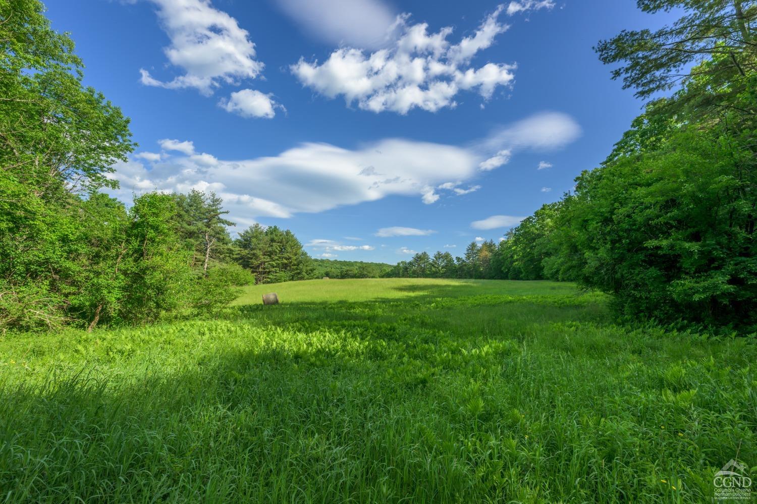 Cotter Road, Chatham, New York image 1