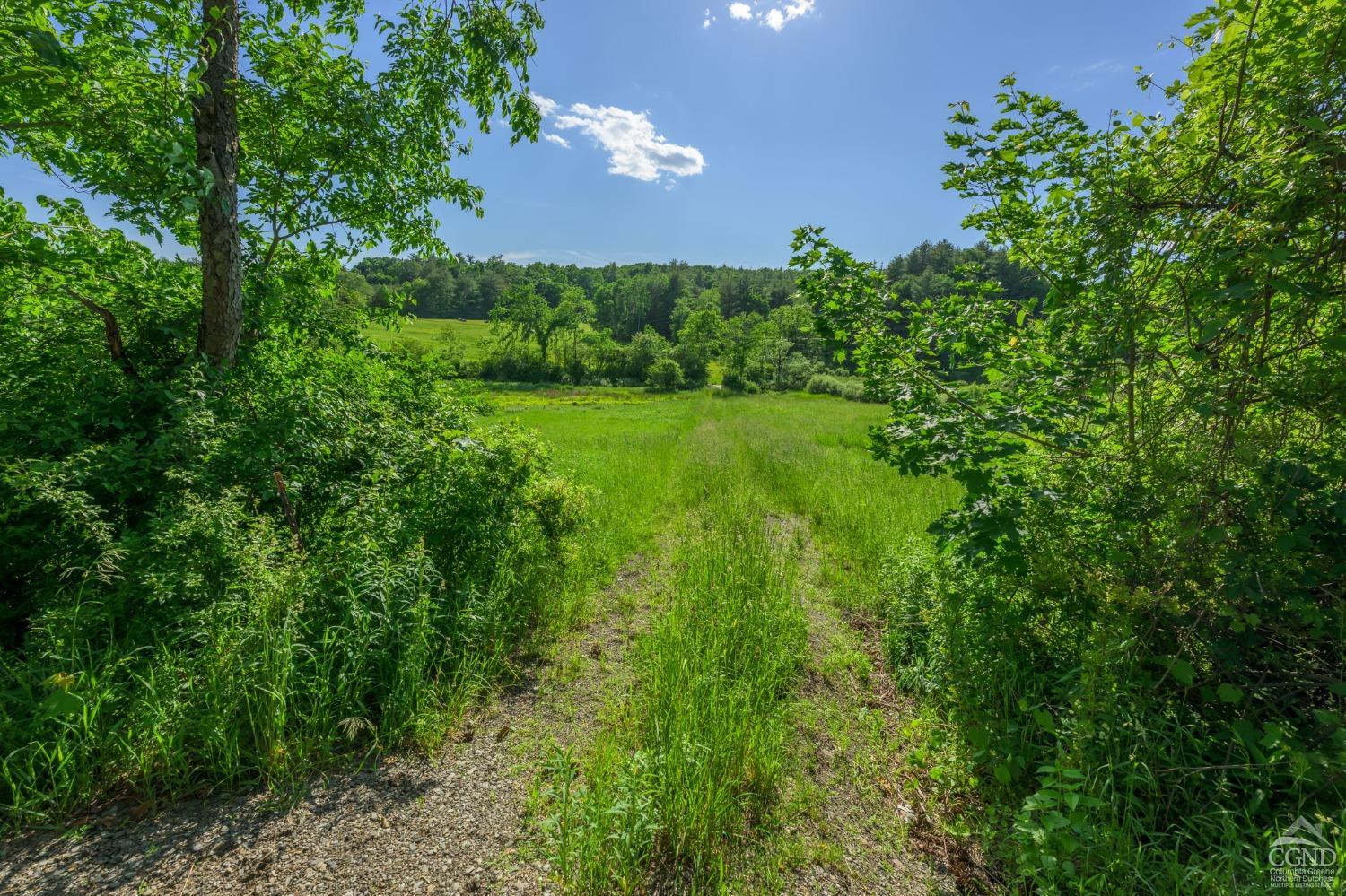 Cotter Road, Chatham, New York image 2