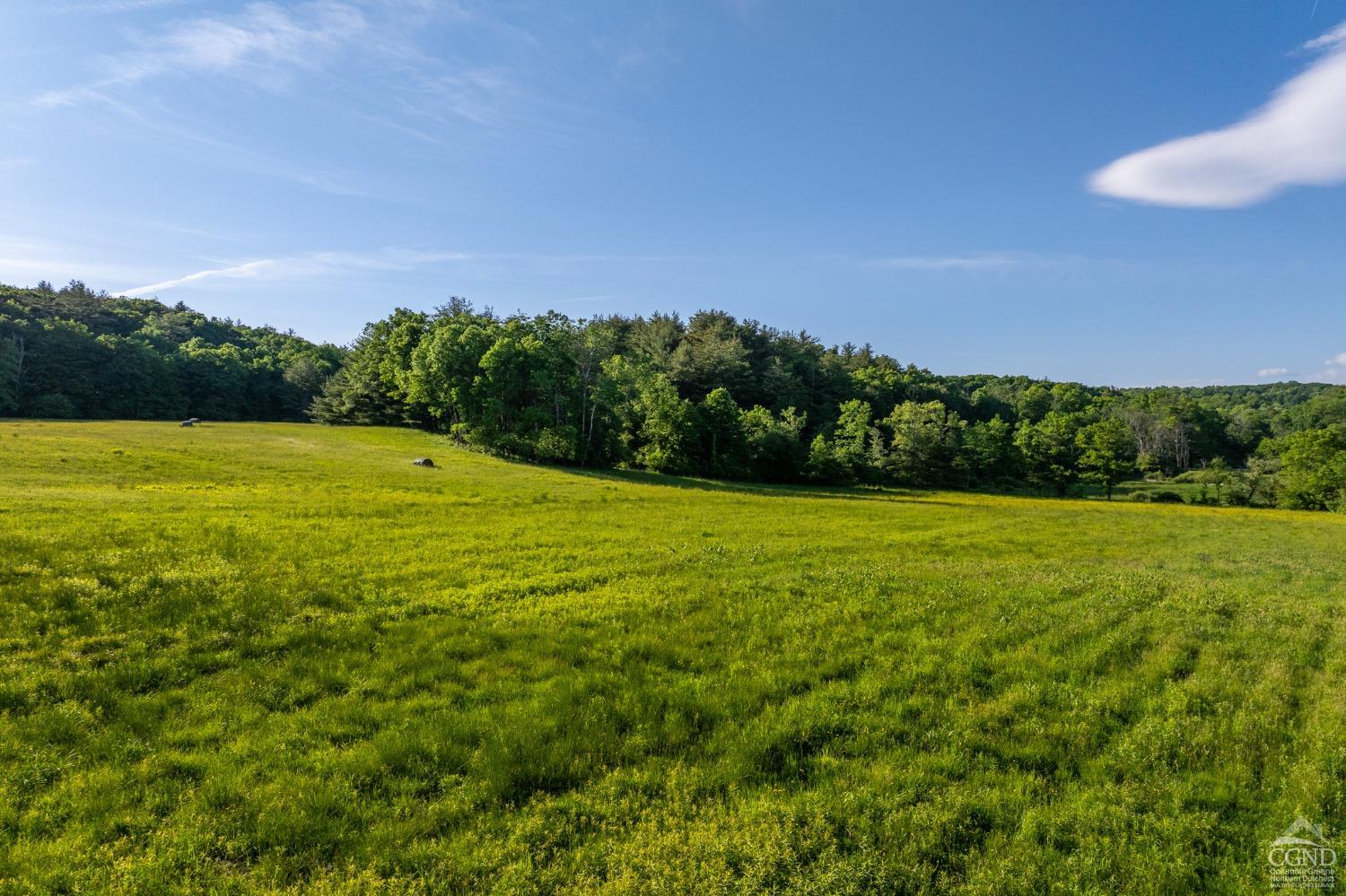 Cotter Road, Chatham, New York image 18