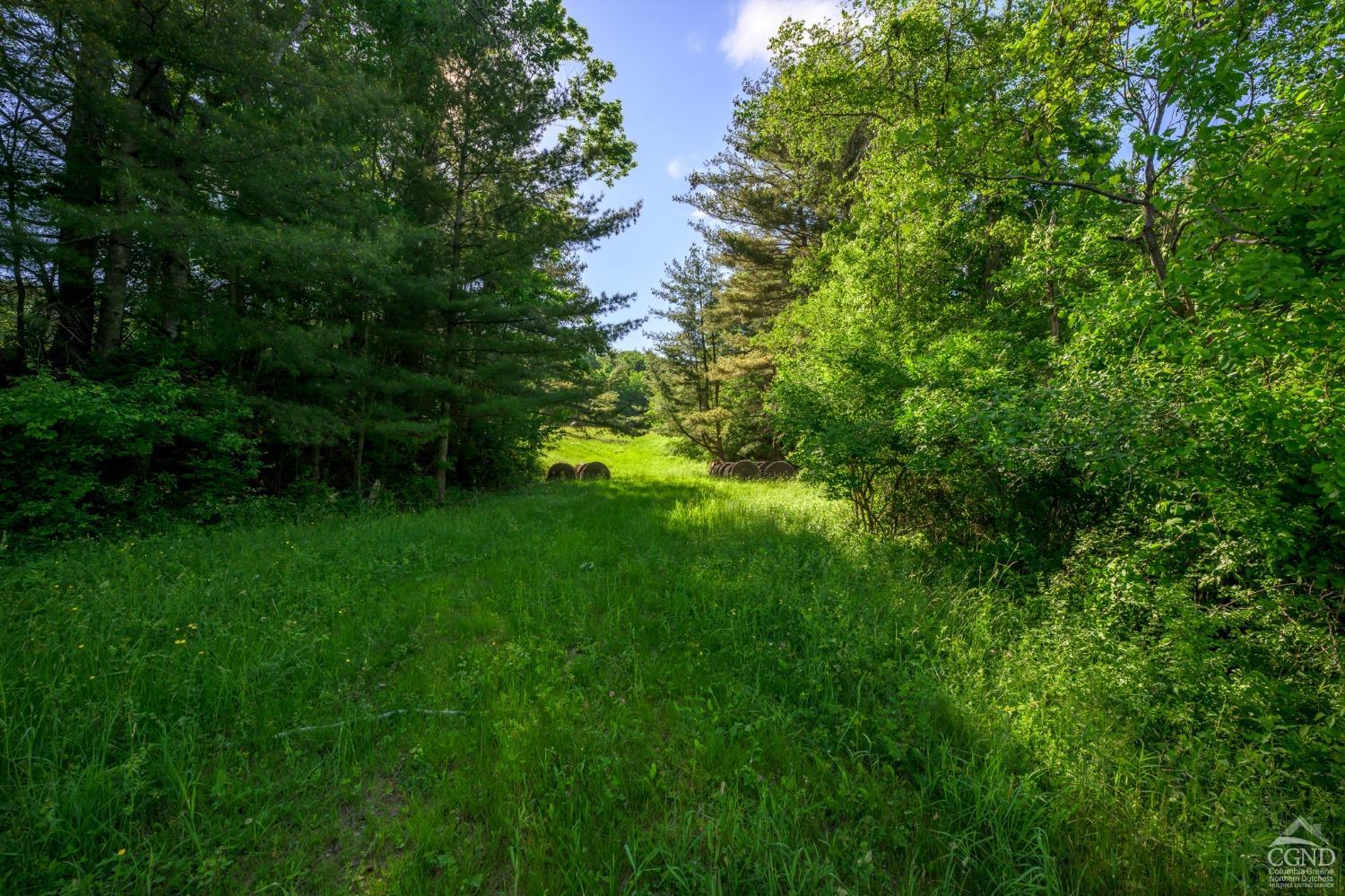 Cotter Road, Chatham, New York image 8