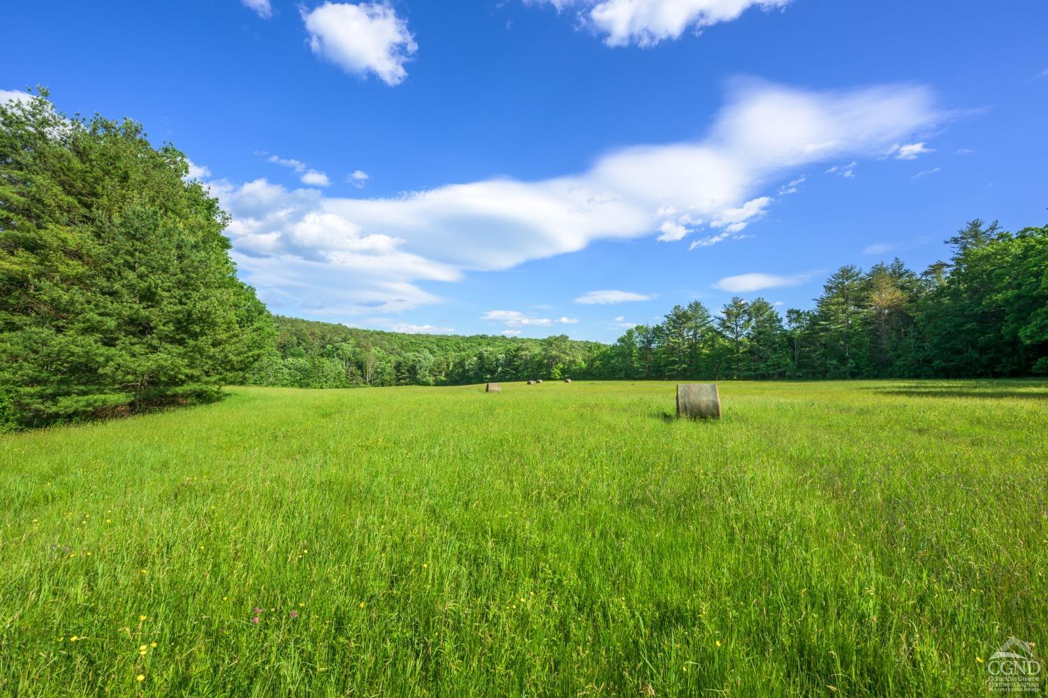 Cotter Road, Chatham, New York image 9