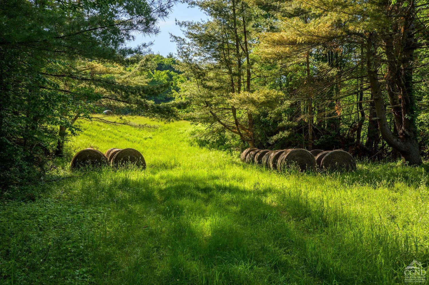 Cotter Road, Chatham, New York image 4