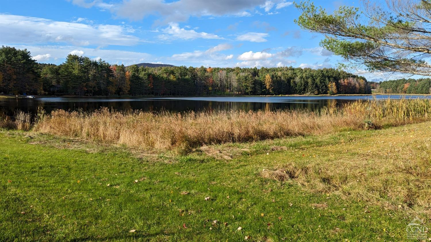 Conifer Lake Rd., Jewett, New York image 1