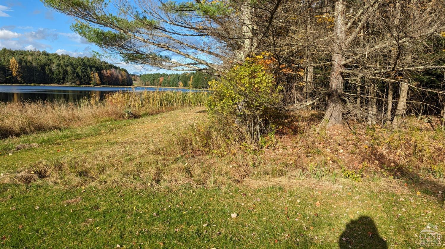 Conifer Lake Rd., Jewett, New York image 4