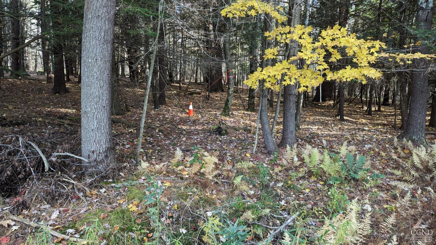 Conifer Lake Rd., Jewett, New York image 7