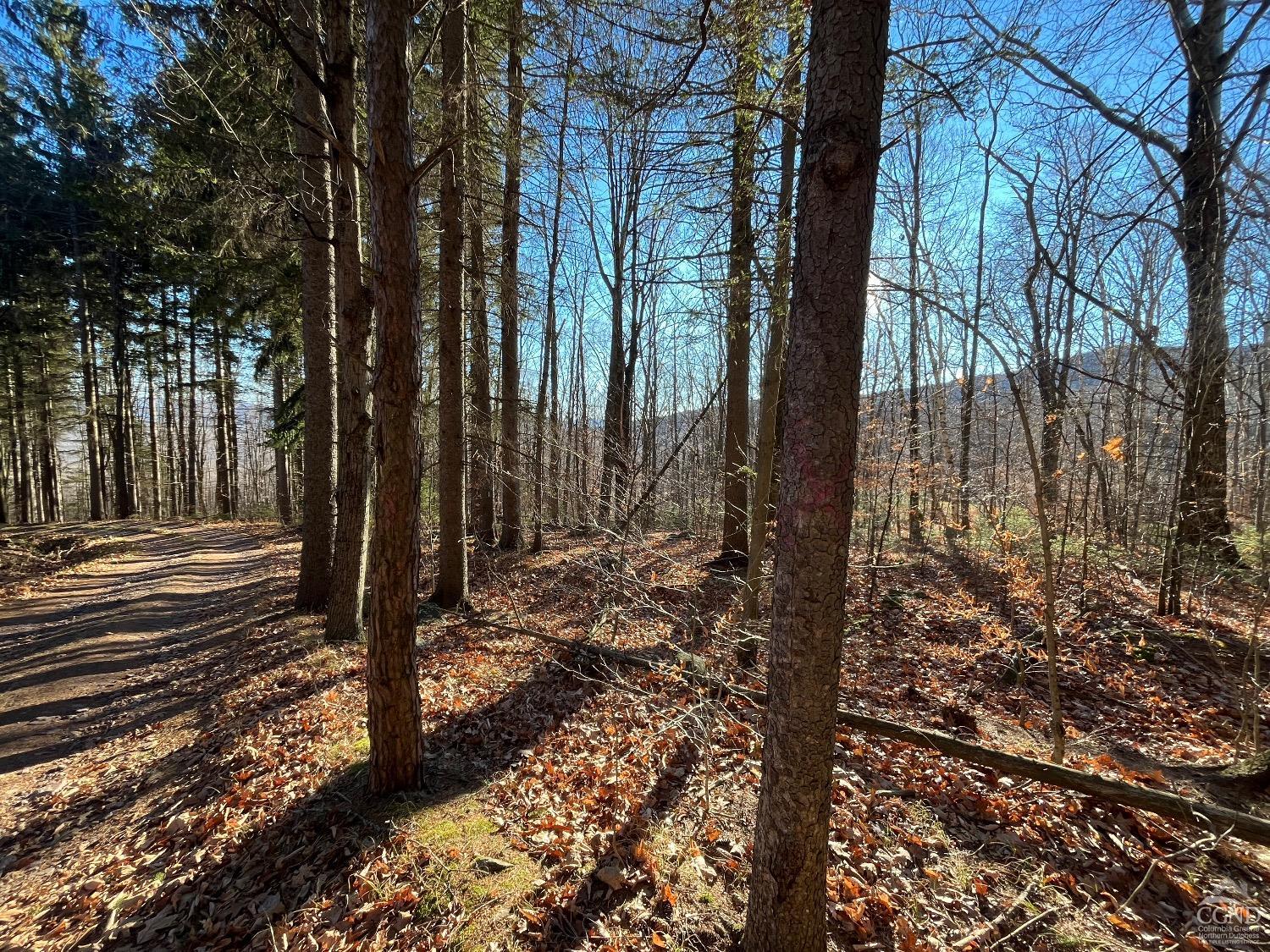 Off Mount Pisgah Road, Windham, New York image 9