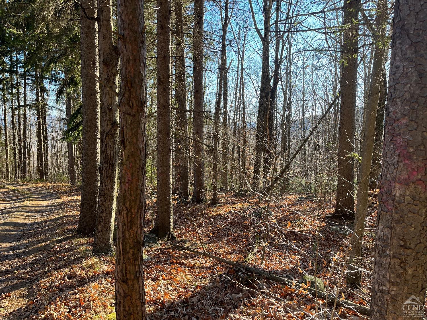 Off Mount Pisgah Road, Windham, New York image 8