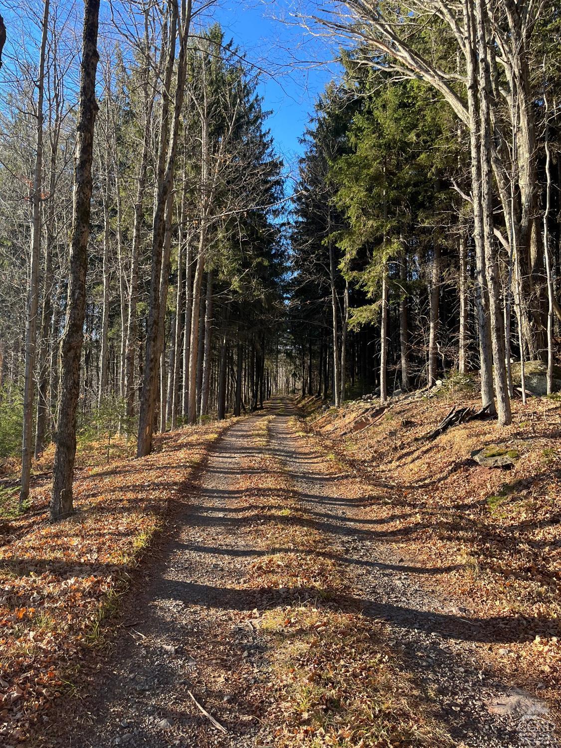 Off Mount Pisgah Road, Windham, New York image 3